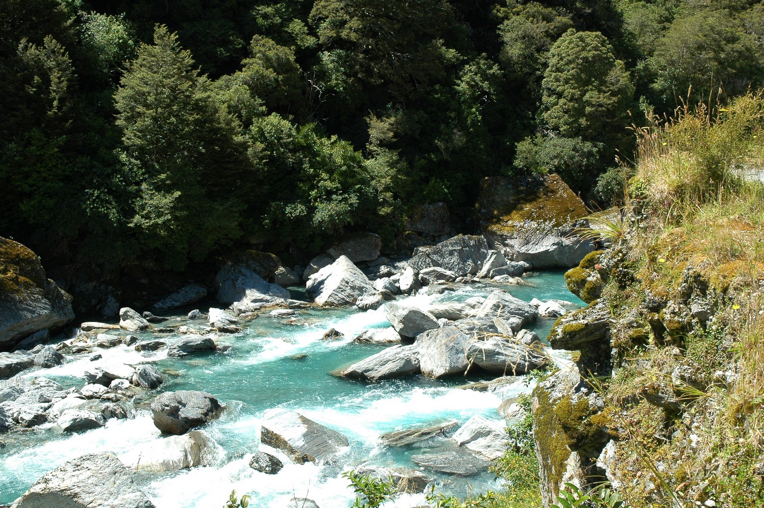 133   25 01   Fox Glacier   Oamura